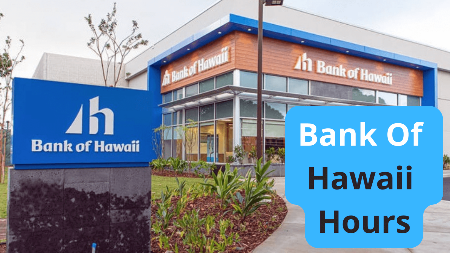 bank of hawaii hours kona