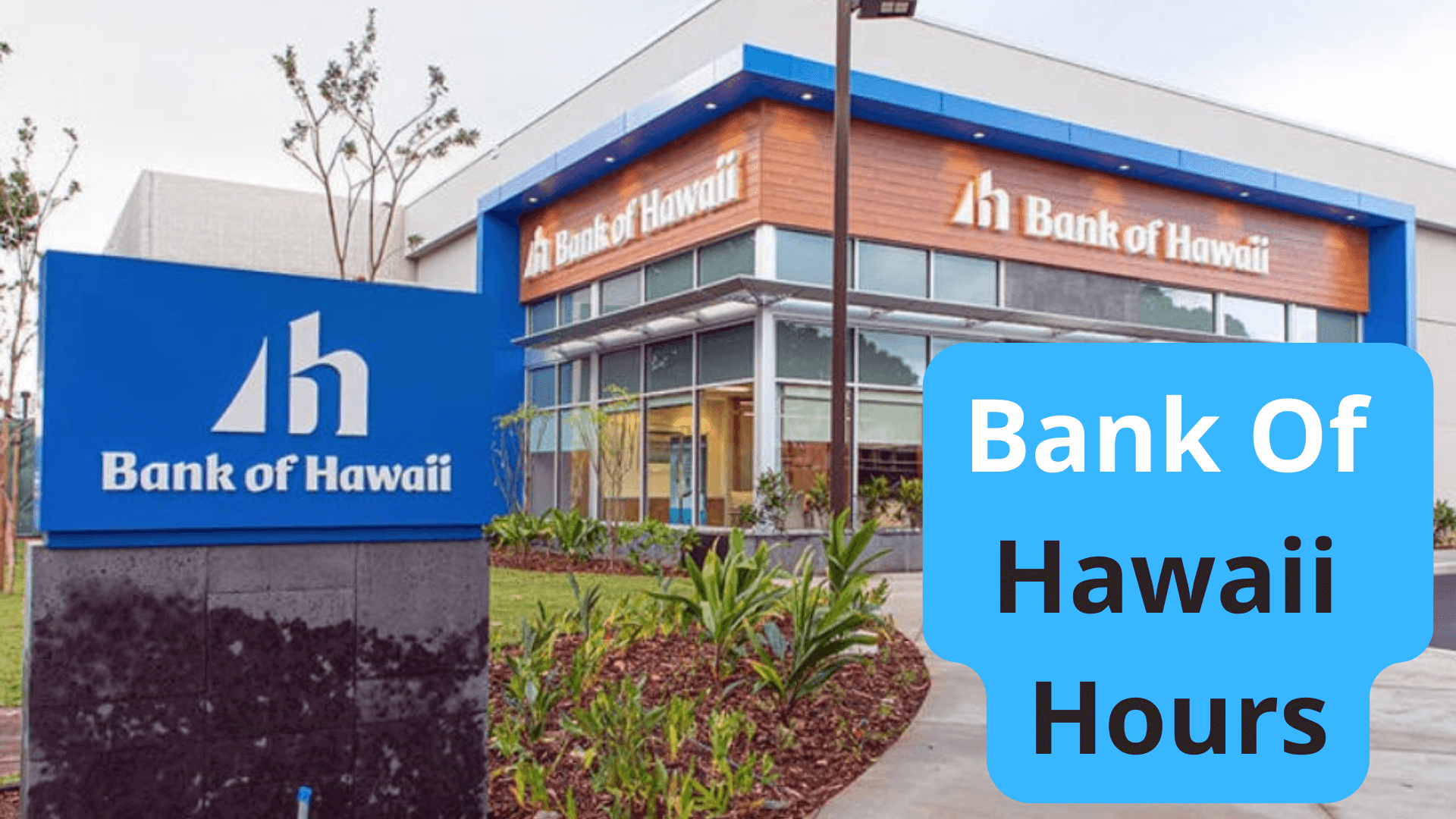 Bank Of Hawaii Hours of Operations Near Me Location 2024
