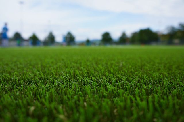 Your Guide To Turf Supplies In Sydney: Lush Green Lawns Made Easy