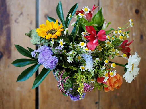 The Language of Flowers: Exploring the Global Impact of Flower Delivery Services