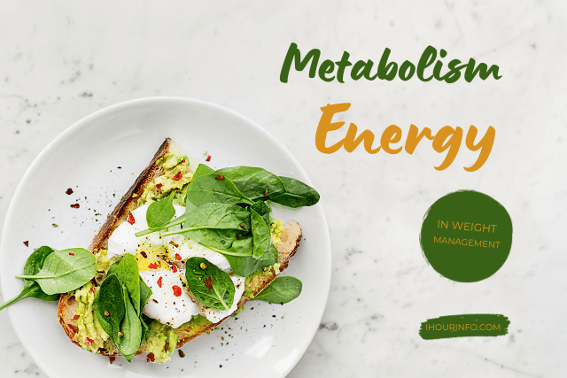 The Role of Energy Metabolism in Weight Management