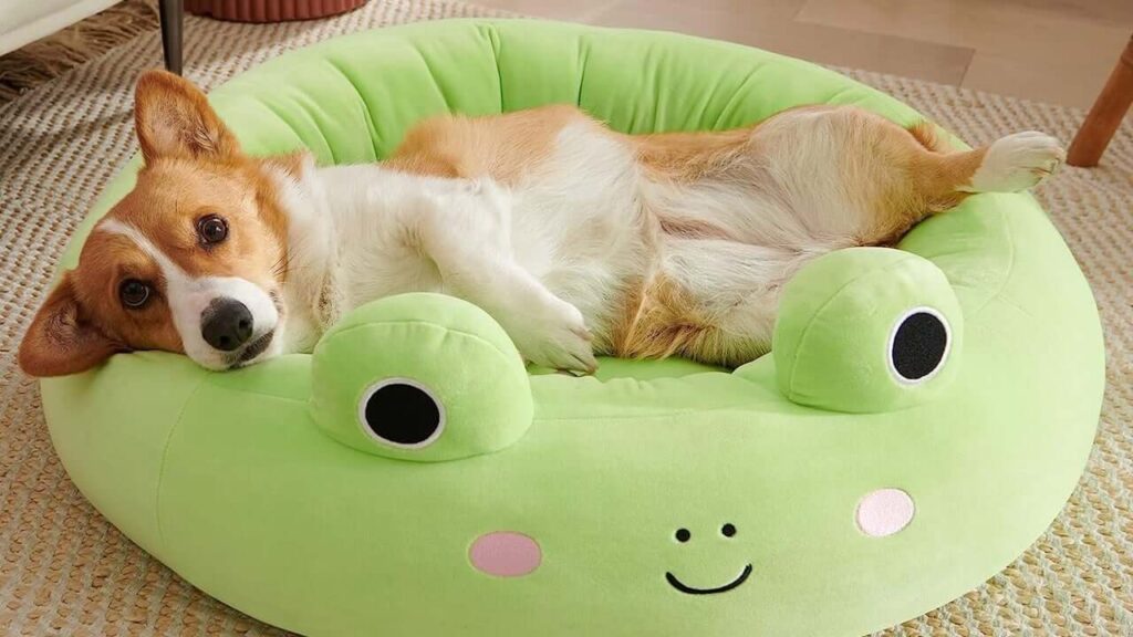 Wendy Frog Squishmallow Pet Bed