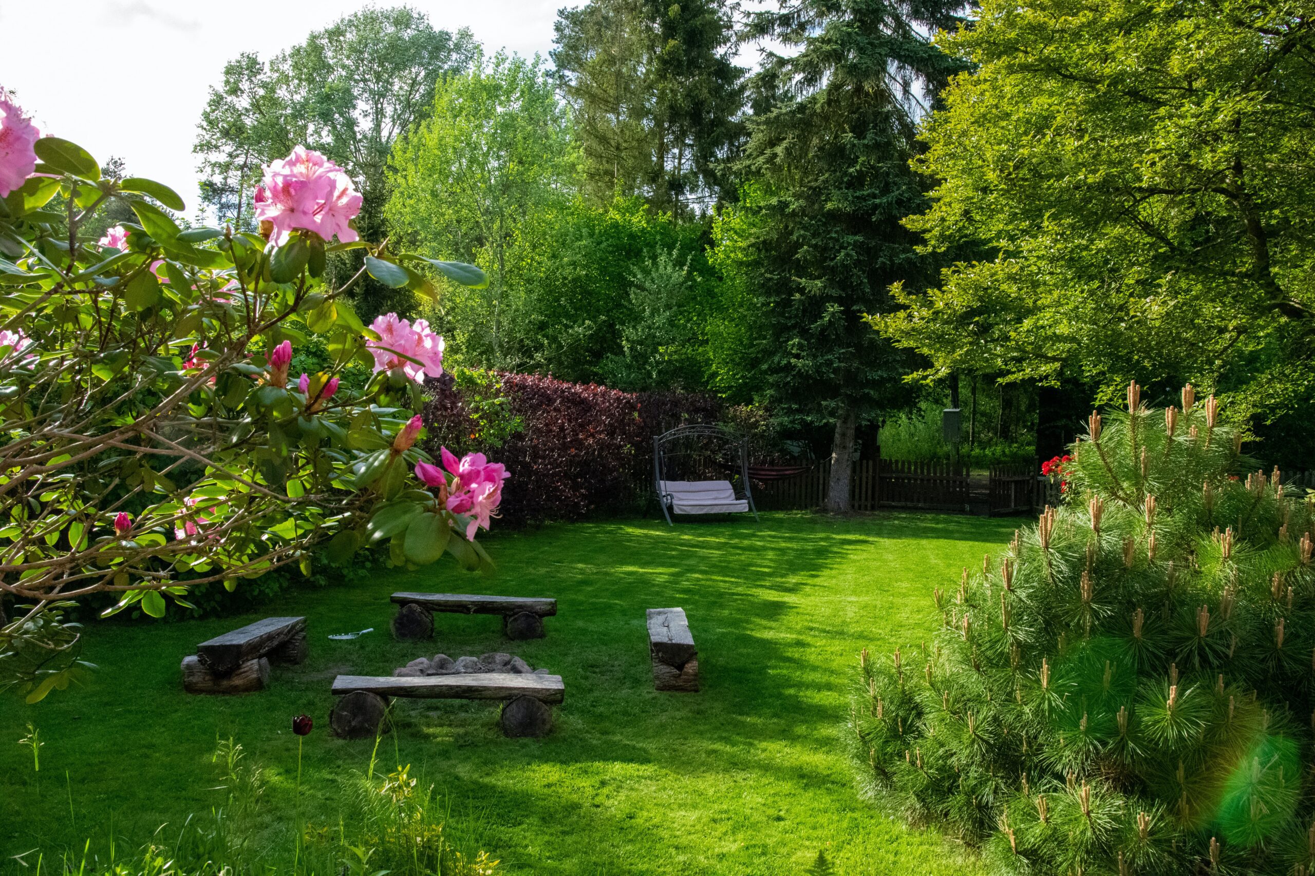 Essential Lawn Care Tips for a Beautiful Yard