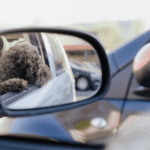 Side Mirrors for Cars