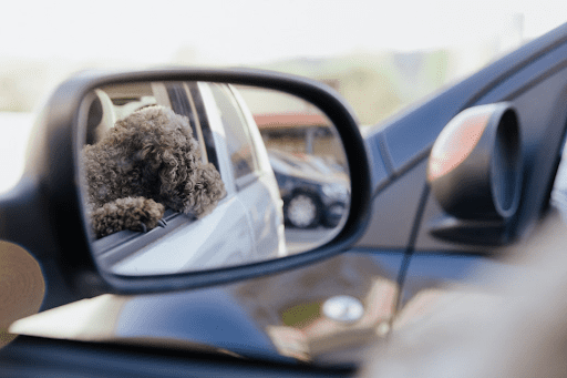 Custom Side Mirrors for Cars: A Comprehensive Guide for B2B Enterprises