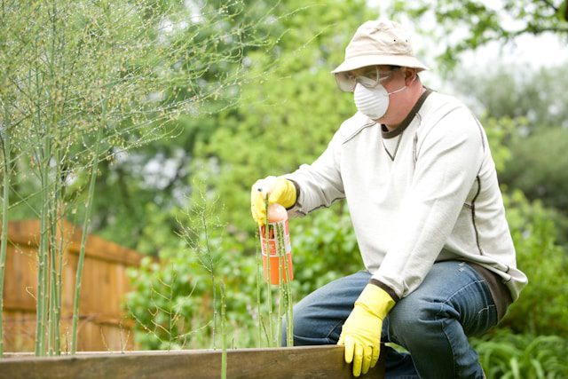 Mastering Home Pest Control: 7 Expert Strategies for a Bug-Free Haven